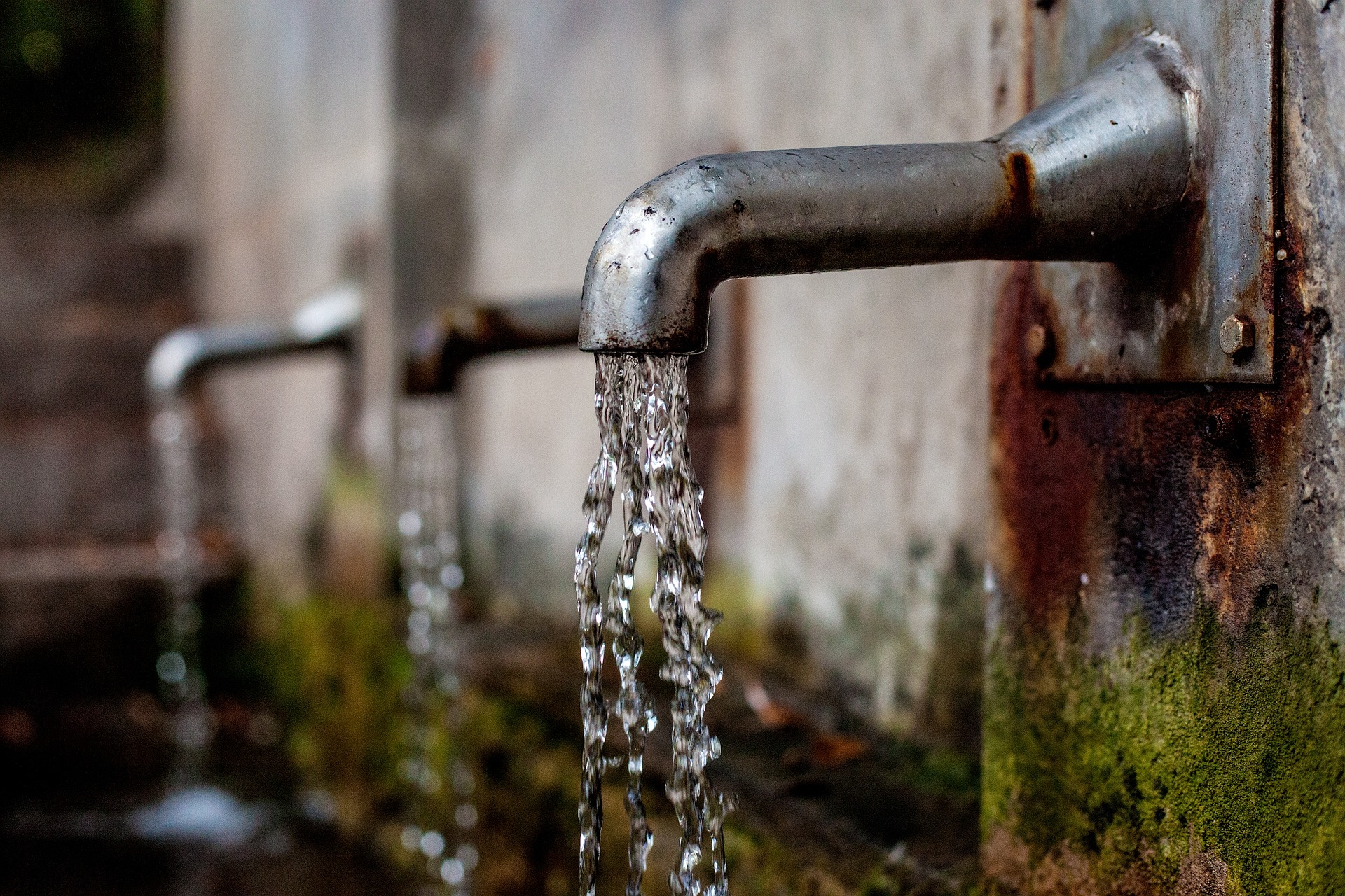 Water Filtration Techniques for Safe Drinking in the Wild