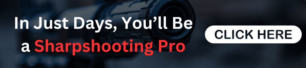 Sharpshooting skills for home defense against looters during disasters.