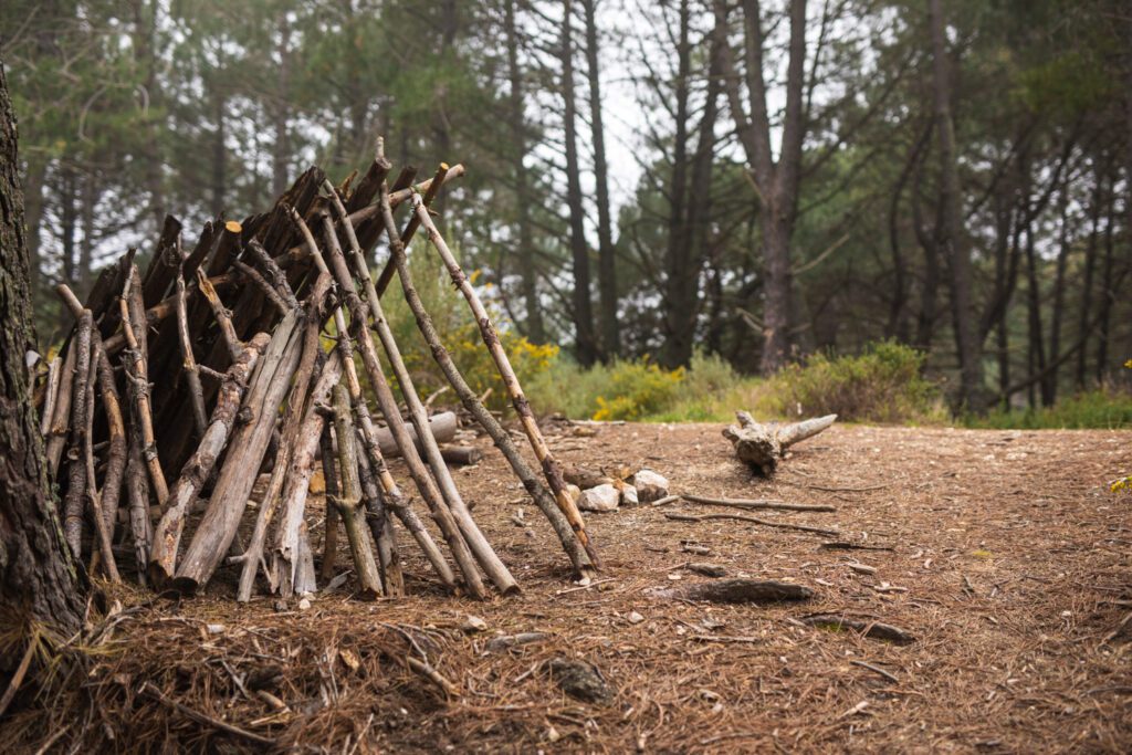 A lean-to survival shelter made of branches in a forest, designed for protection in extreme weather conditions during wilderness survival scenarios.