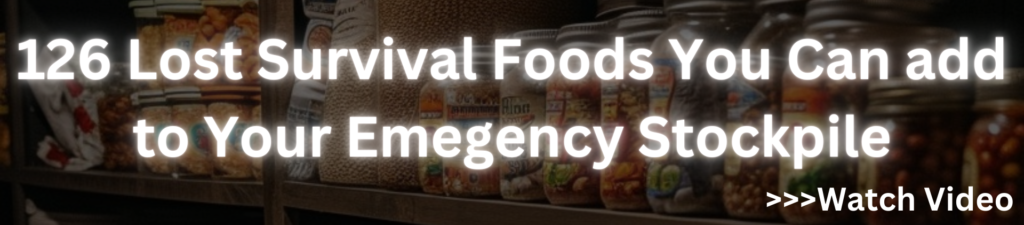 Banner promoting 126 lost survival foods for emergency stockpiling, featuring preserved foods in jars and a call to action to watch the video.