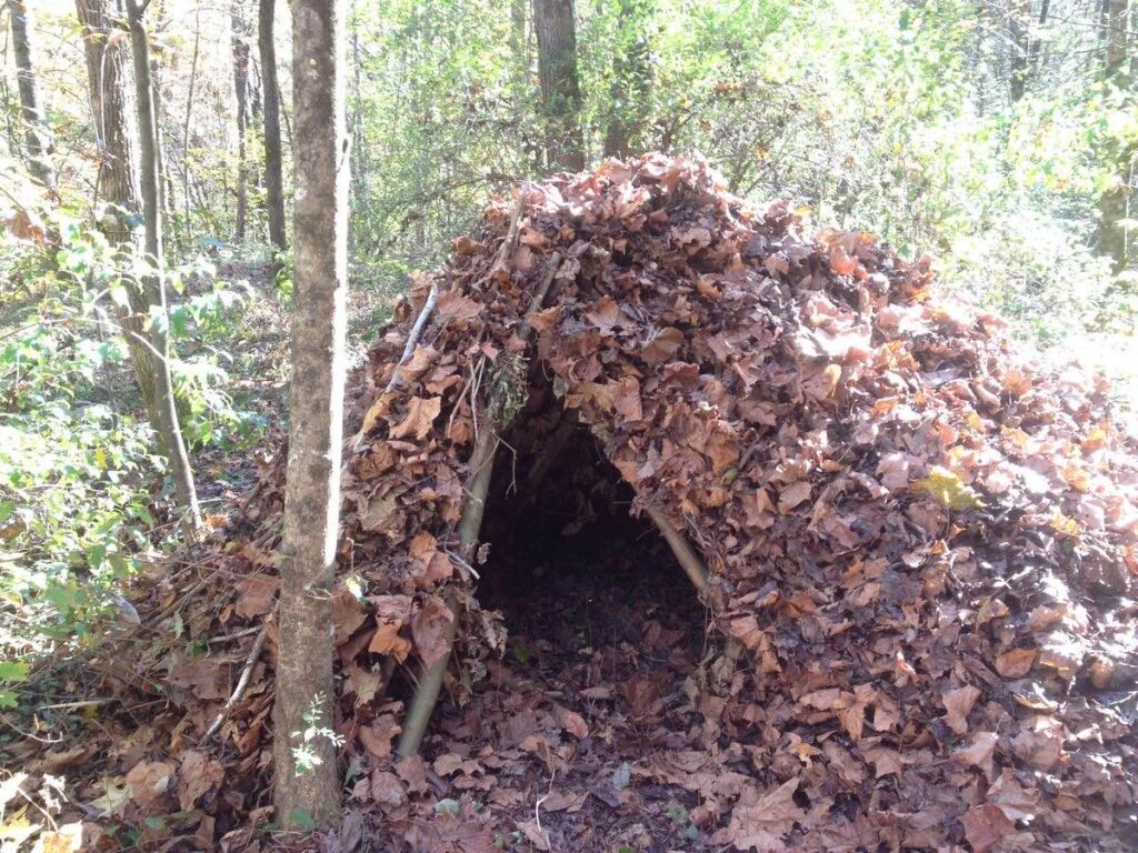 A debris hut made of branches and covered with leaves in a forest, designed as a temporary survival shelter for protection against extreme weather.