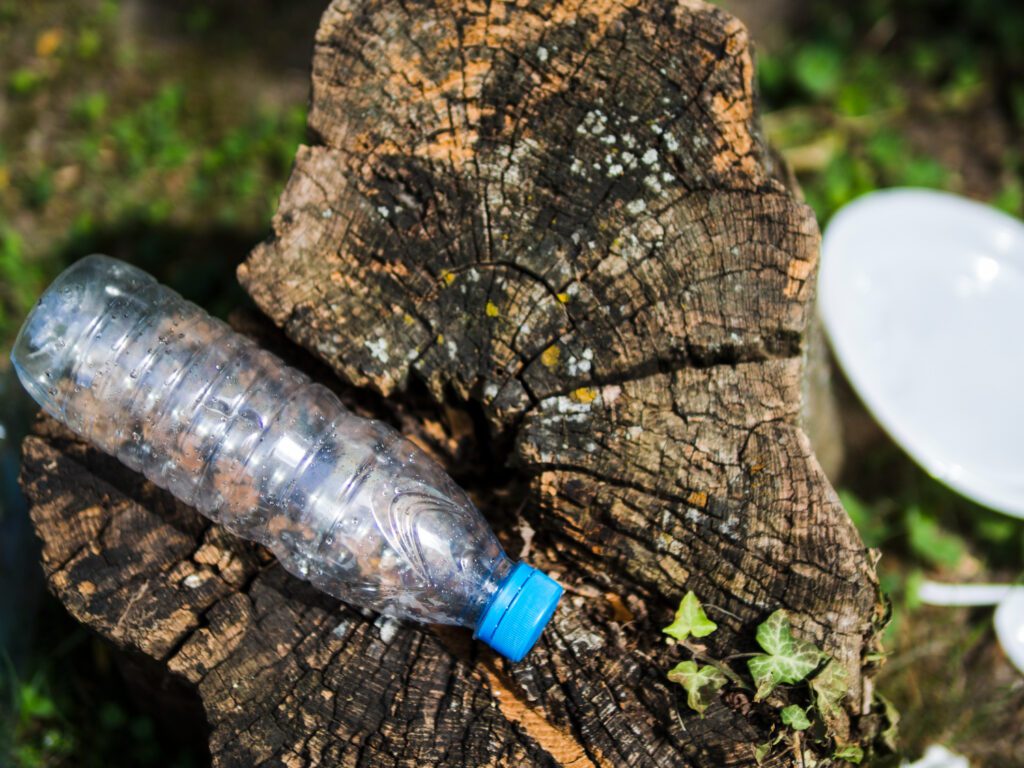 A discarded plastic bottle on a tree stump, symbolizing its potential as a survival tool for water storage or filtration.