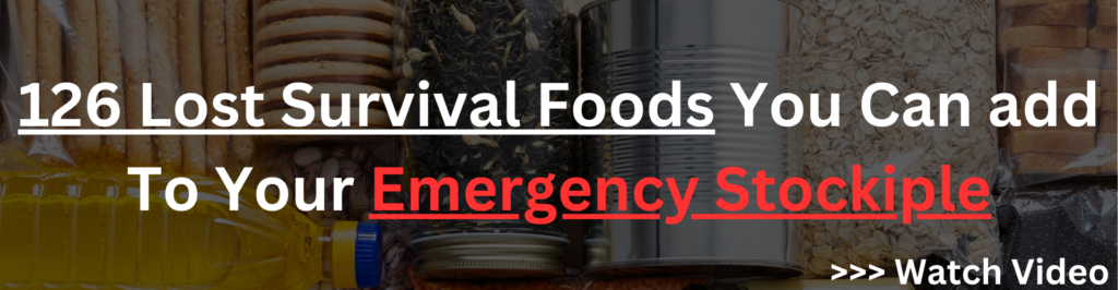 Selection of emergency survival foods, including canned goods, grains, and dried items, perfect for adding to an emergency stockpile.