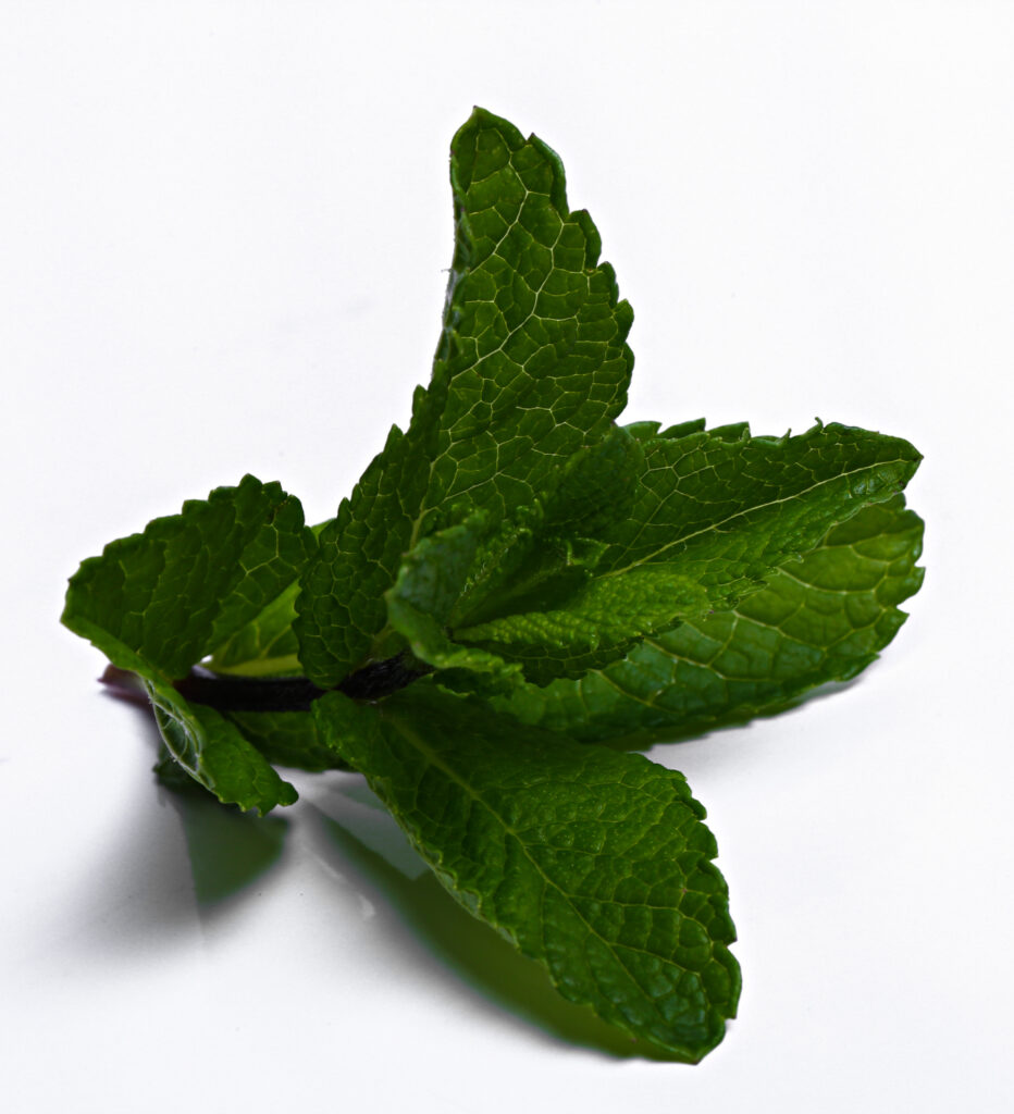 Fresh peppermint leaves with vibrant green color on a white background, showcasing their detailed texture.