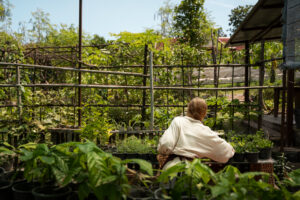 A person tending to a self-regenerating survival garden with lush greenery and potted plants in a sustainable outdoor setup.