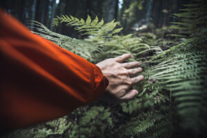 A person wearing an orange jacket touching green ferns in a dense forest, symbolizing connection with nature and exploration.