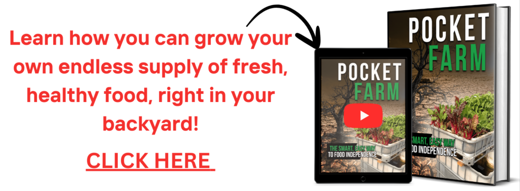 Pocket Farm guide banner promoting how to grow an endless supply of fresh, healthy food in your backyard with an easy-to-follow system.