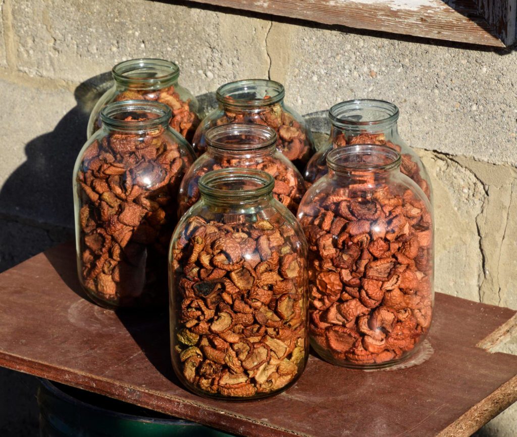 Glass jars filled with dried fruits placed on a wooden table outdoors, showcasing traditional food preservation techniques.