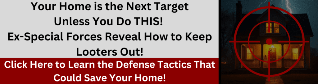 A banner with bold survival messaging: "Your Home is the Next Target—Unless You Do THIS! Ex-Special Forces Reveal How to Keep Looters Out!" It features a suburban house at night with a red target overlay, emphasizing the urgency of home defense. A call-to-action in red urges viewers to "Click Here to Learn the Defense Tactics That Could Save Your Home!"