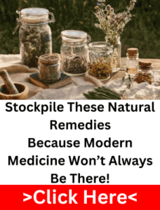 Jars of dried herbs and natural remedies on a rustic outdoor table, symbolizing self-sufficient healing.