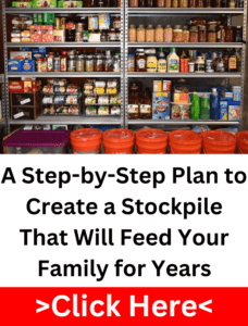 A fully stocked pantry with canned goods, jars, and emergency food supplies for long-term survival.
