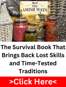 The Amish Ways book with jars of preserved food and rustic decor.