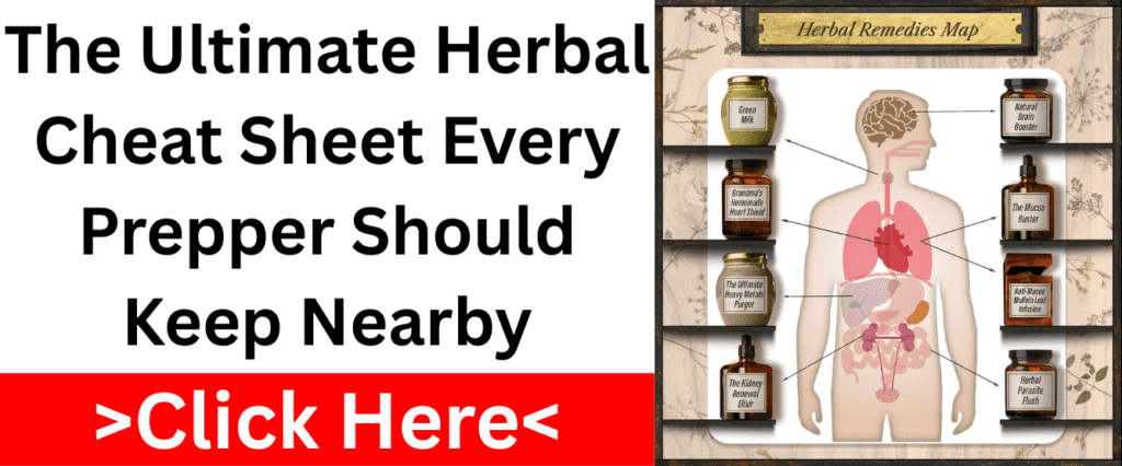 Herbal remedies body map banner with prepper headline and natural treatments for the whole body