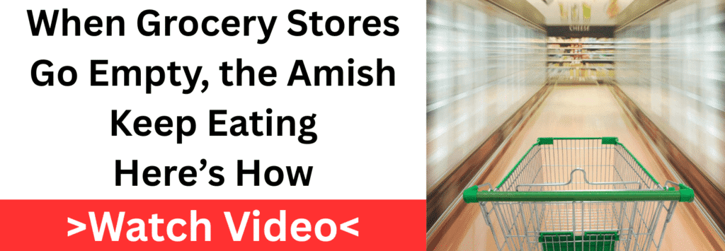 Banner promoting Amish survival food skills during grocery store shortages.

