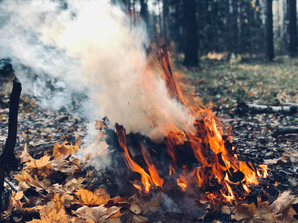 Smoke rising from a survival fire built in the woods for signaling help