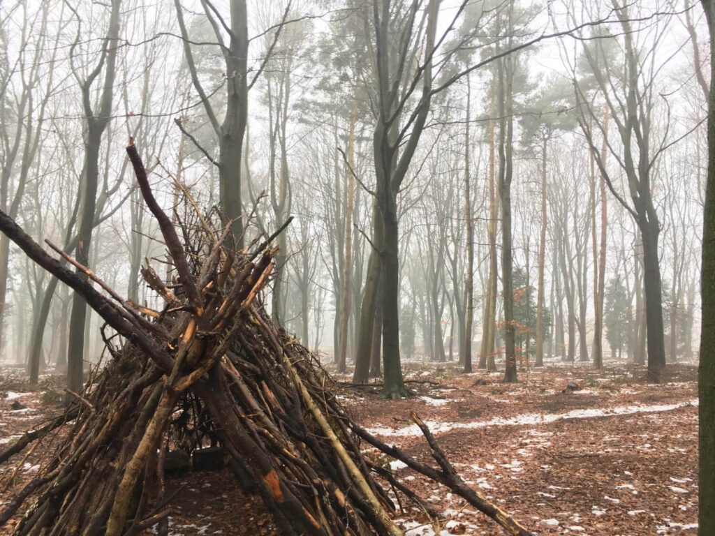 Primitive survival shelter built from logs and branches in a cold forest