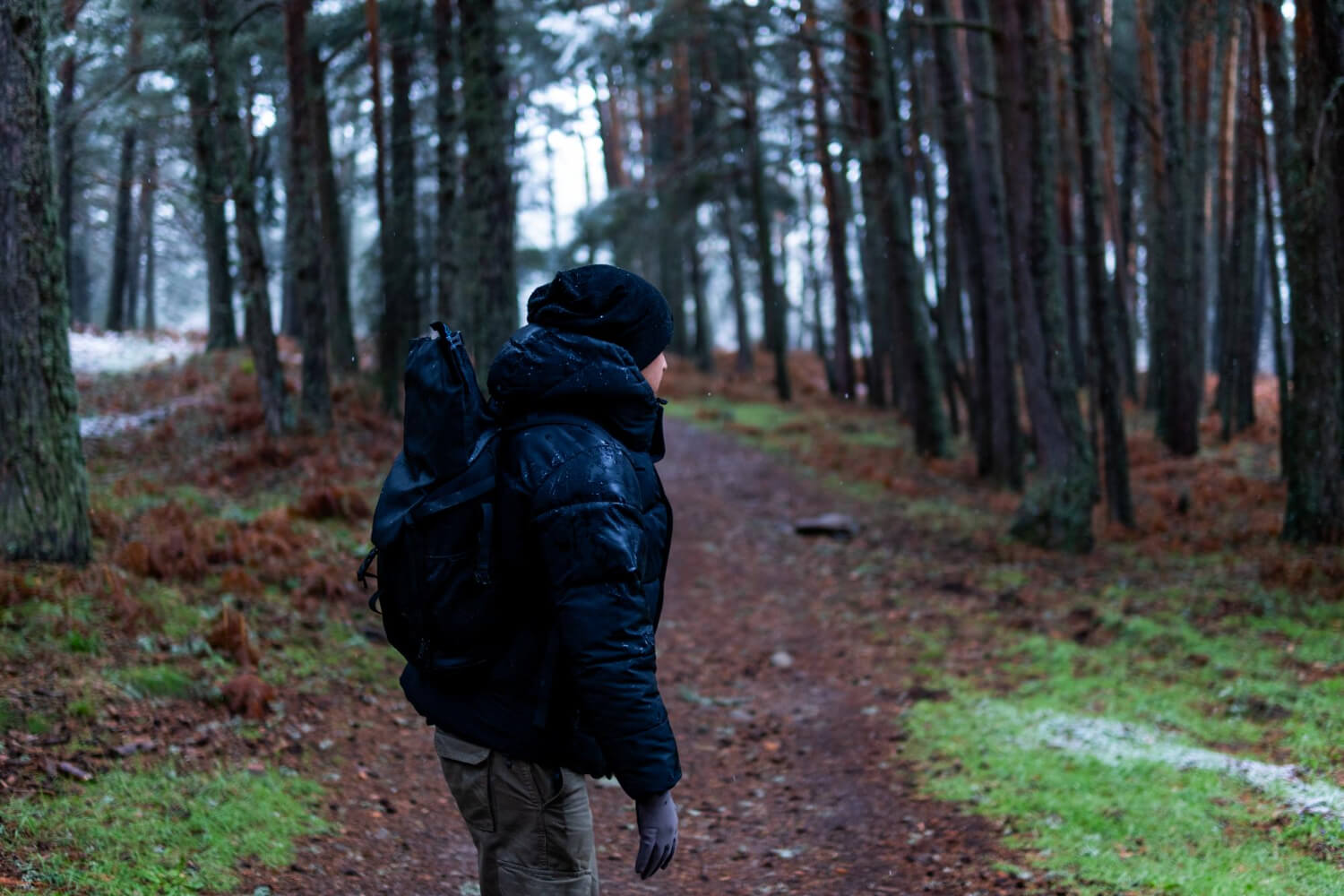 Your First 5 Moves When You’re Lost in the Wild