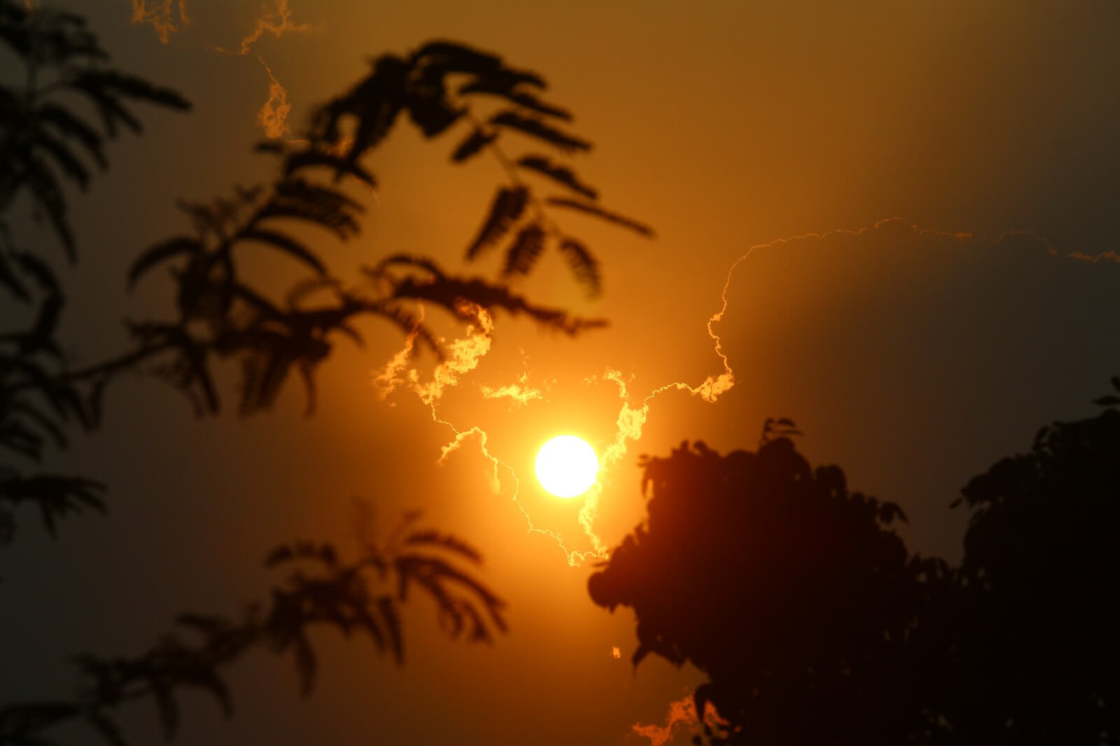 When the Sun Is a Killer: How to Survive Extreme Heat With No Shade