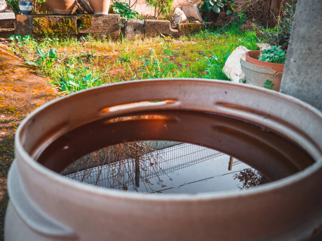 Close-up of a rain barrel filled with water in a backyard off-grid setup