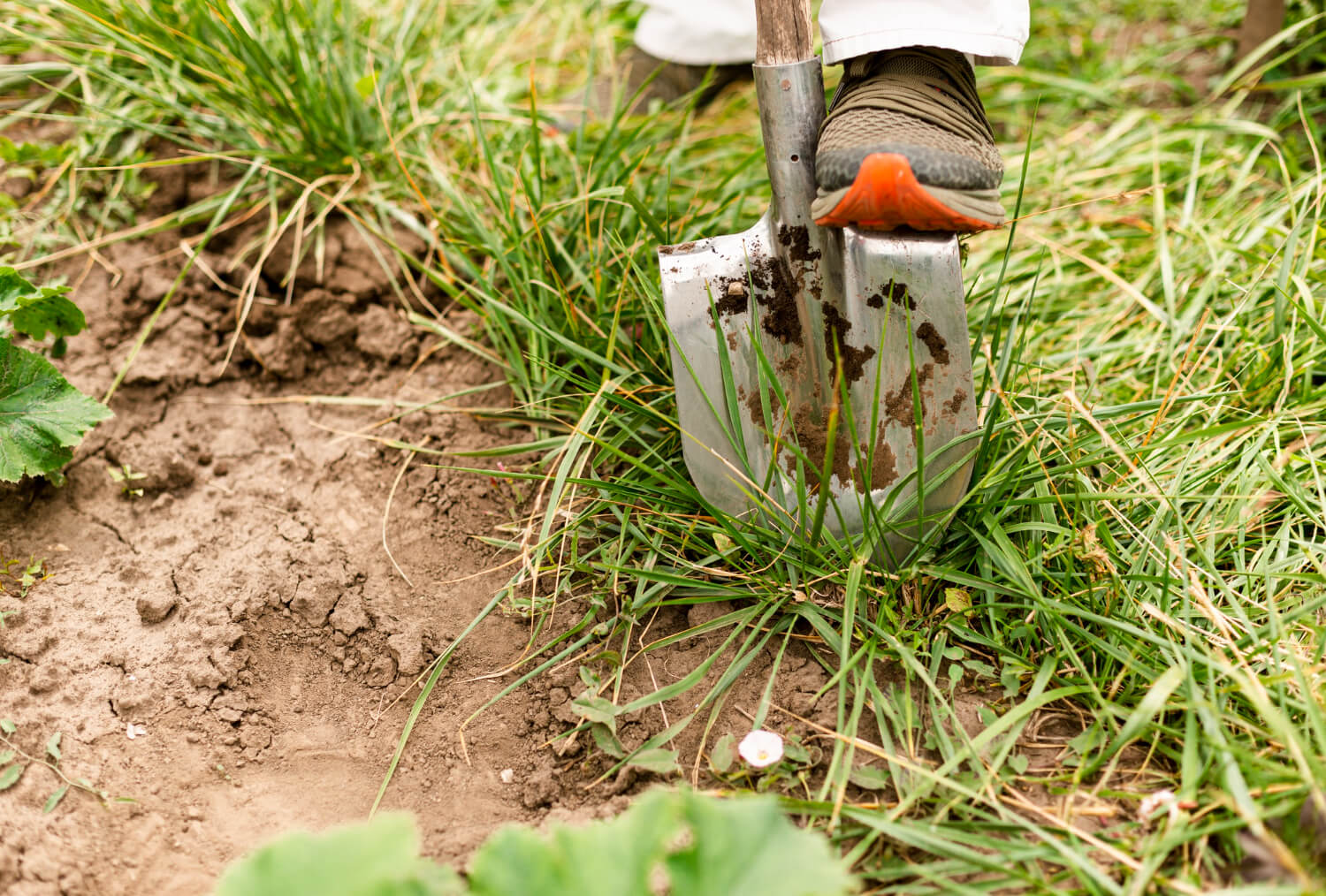 How to Bury Emergency Supplies Without Getting Caught