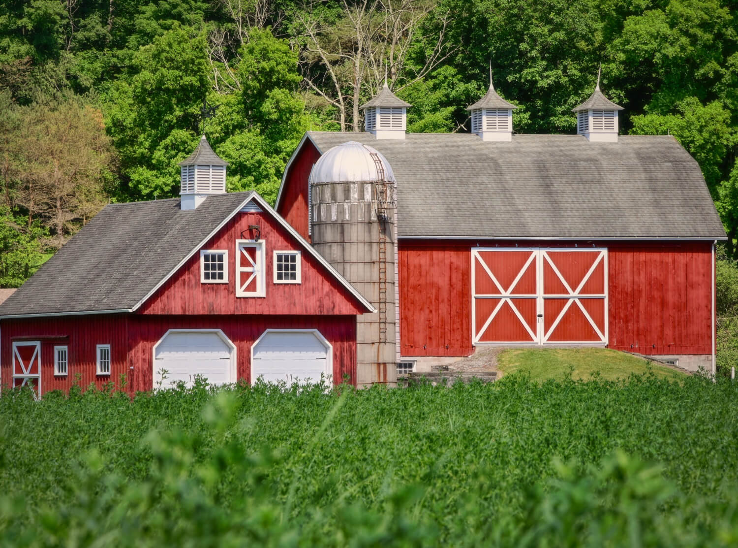 Why Amish Barn Design Could Save You in a Tornado
