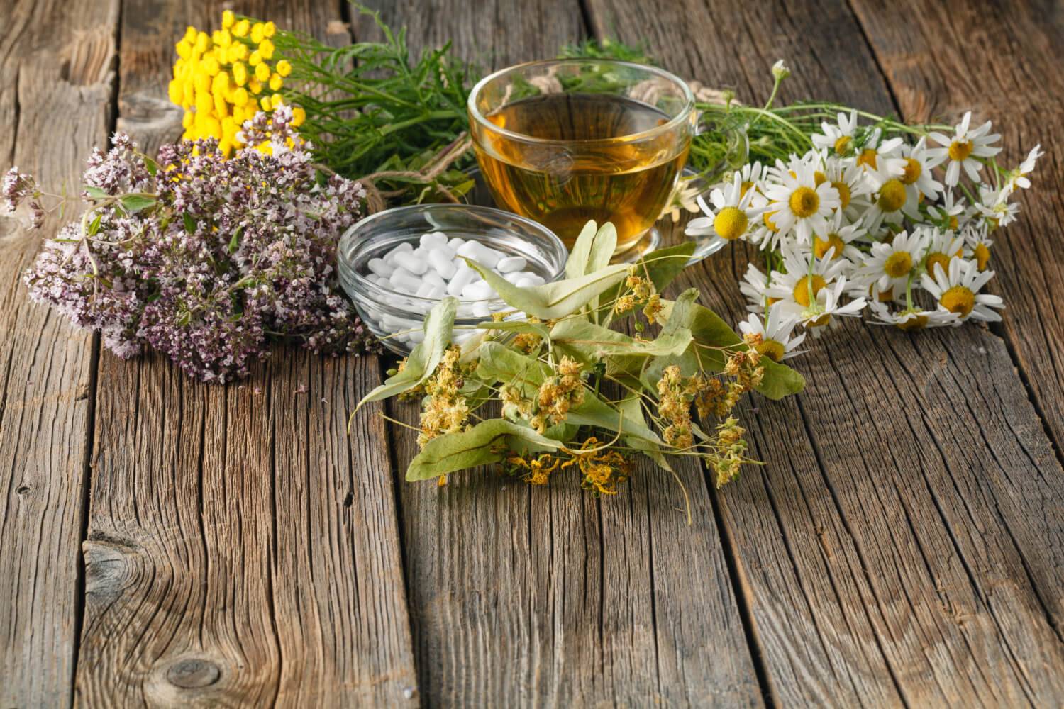11 Plants That Can Replace Store-Bought Medicine in an Emergency