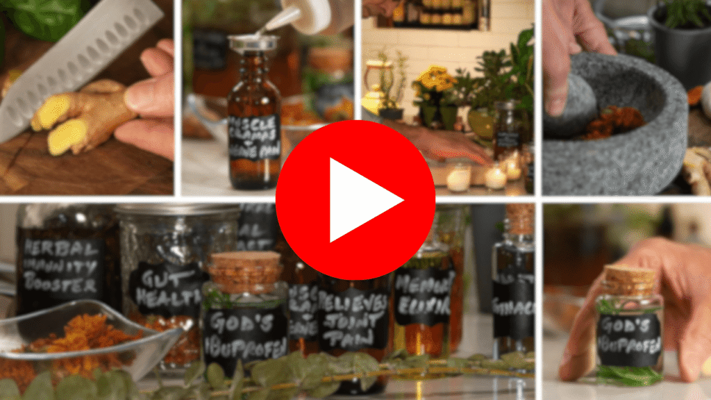 Herbal remedies and natural medicine bottles with homemade prepper cures