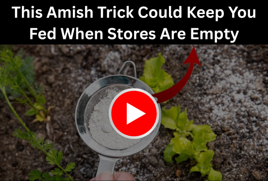 Amish food preservation trick for surviving empty grocery stores