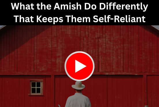 Amish farmer by red barn showing traditional self-reliant living