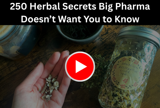 Herbal tea blend and dried plants for natural healing