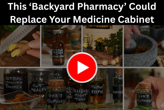 Homemade herbal jars and tinctures for natural first aid