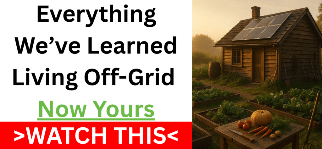 Off-grid homestead with garden and solar panels at sunrise – symbol of self-sufficient living