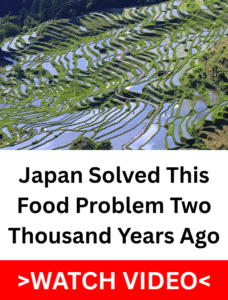Flooded terraced rice paddies on a green Japanese hillside with farmers working