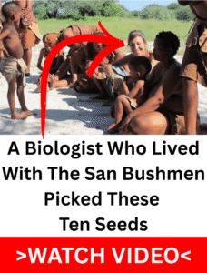 Biologist sitting with a San Bushmen community in the Kalahari, marked with a red arrow