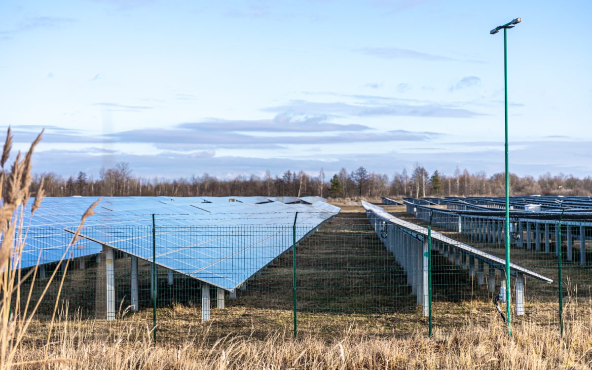 Solar panels installed in an open field with clear skies and a fenced perimeter.