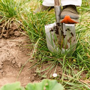 How to Bury Emergency Supplies Without Getting Caught