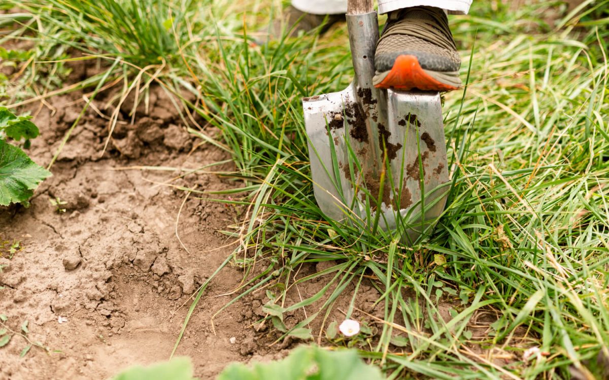 Shovel digging ground to bury emergency supplies