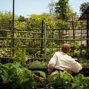 Creating a Survival Garden That Regrows Itself 