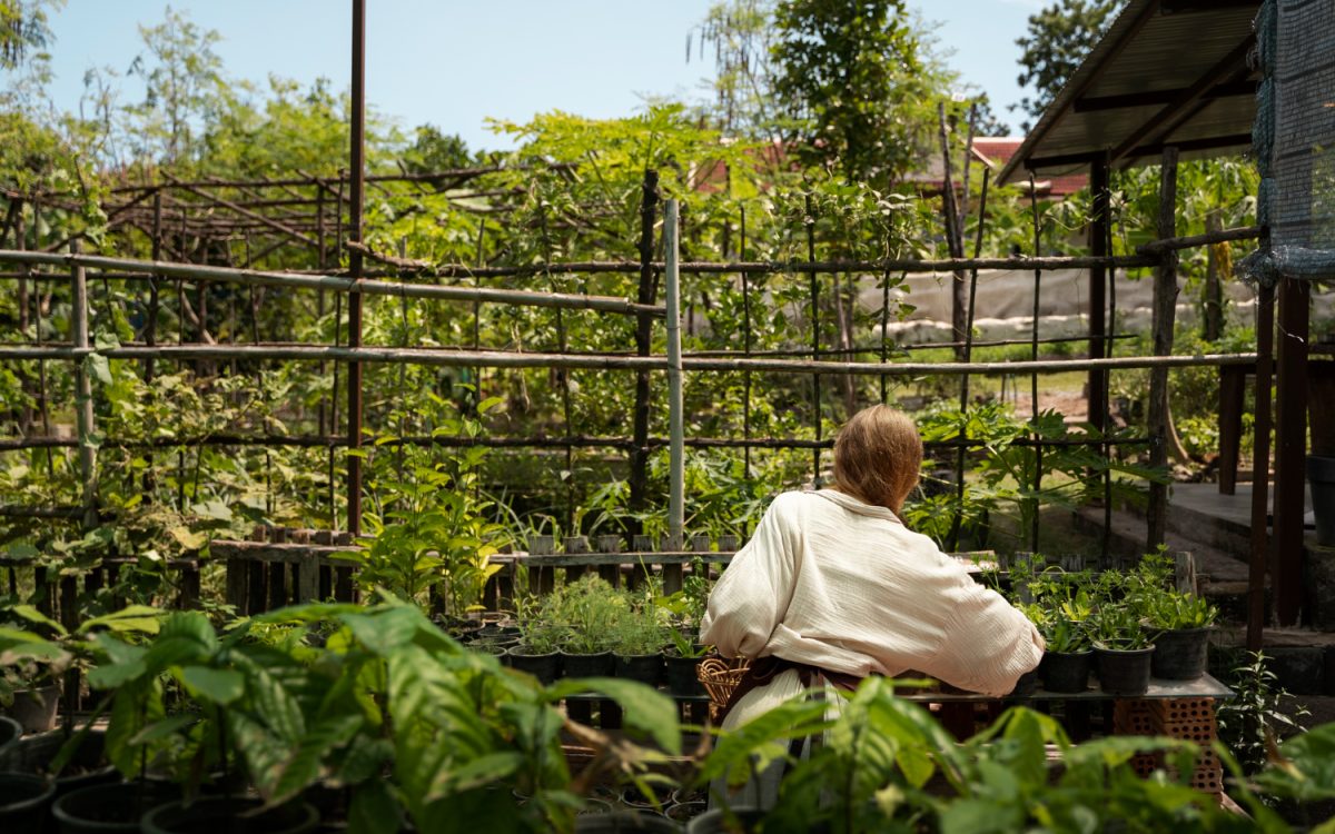 A person tending to a self-regenerating survival garden with lush greenery and potted plants in a sustainable outdoor setup.