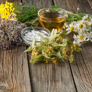 11 Plants That Can Replace Store-Bought Medicine in an Emergency