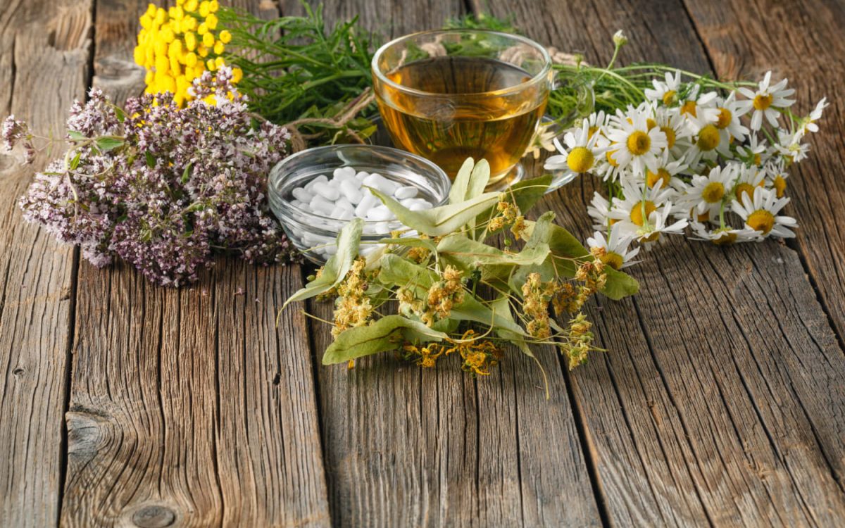 Fresh medicinal herbs and herbal tea with pills on rustic wooden table – herbal first aid kit and natural remedies for survival emergencies.
