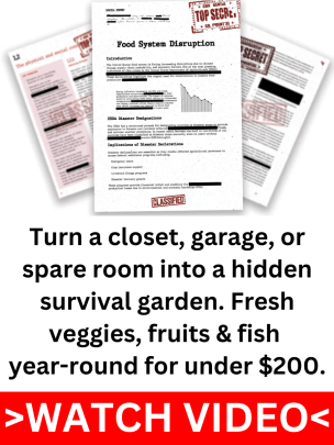 Pocket Farm sidebanner showing hidden survival garden offer to grow veggies, fruits, and fish at home for under $200.