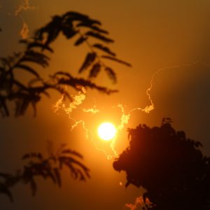 When the Sun Is a Killer: How to Survive Extreme Heat With No Shade