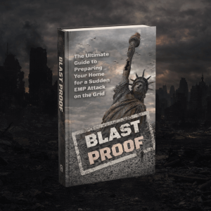 David’s Shield EMP survival guide book cover with Statue of Liberty and dark city skyline symbolizing grid collapse preparedness