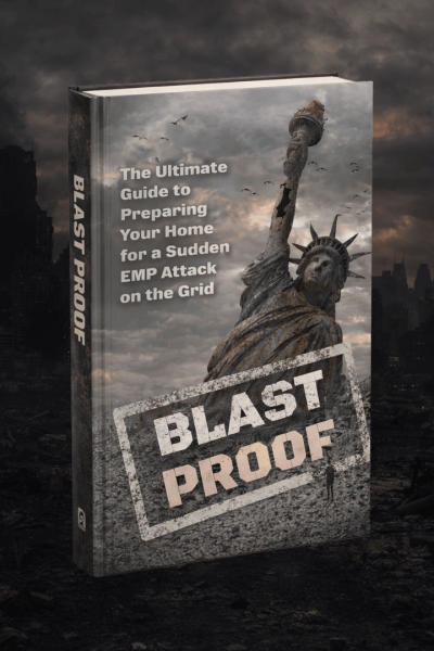 David’s Shield EMP survival guide book cover with Statue of Liberty and dark city skyline symbolizing grid collapse preparedness