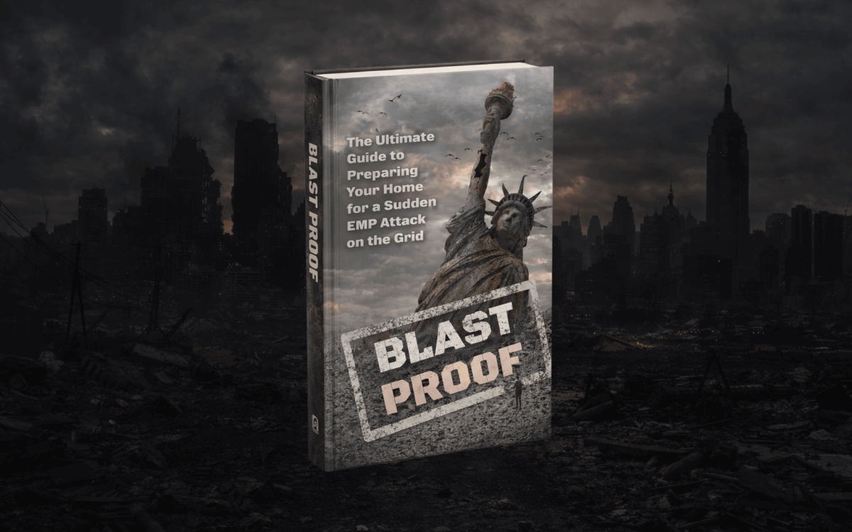 David’s Shield EMP survival guide book cover with Statue of Liberty and dark city skyline symbolizing grid collapse preparedness